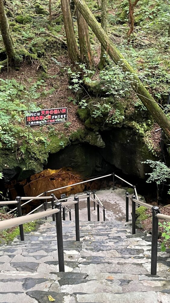 富岳風穴への階段