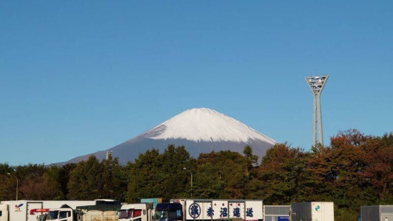 足柄SAから見た富士山