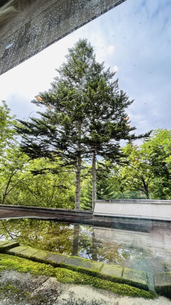 客室からの眺め