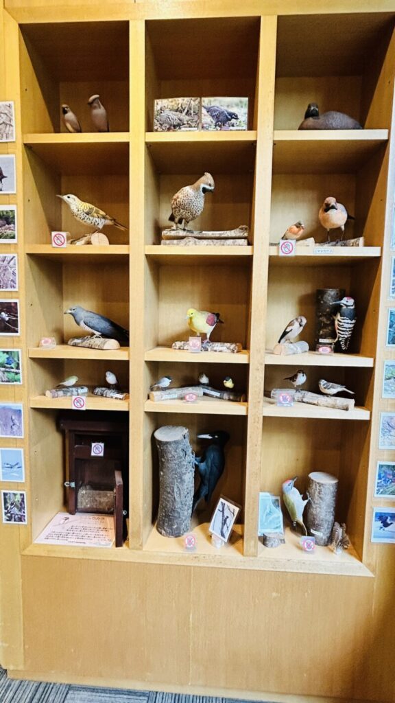 支笏湖ビジターセンター1