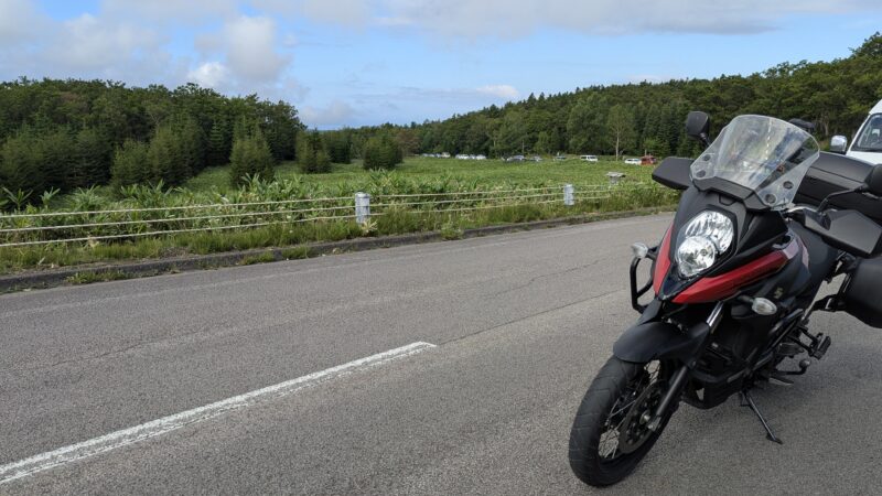 知床五湖手前の路上