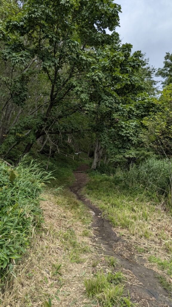 サルボ歩道の始点