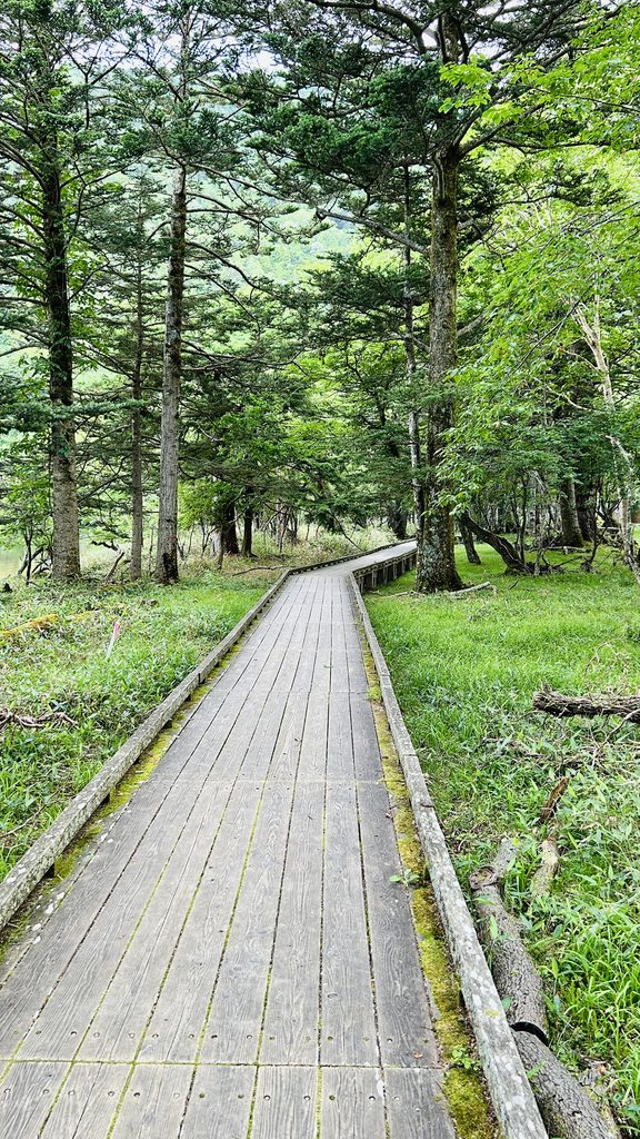 湯ノ湖畔の木道